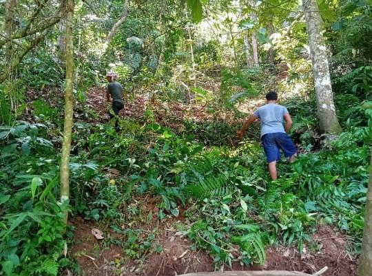 C:\Users\Lavinia Pde\Desktop\Mawker\horticulture\WhatsApp Image 2023-03-15 at 19.07.48.jpeg